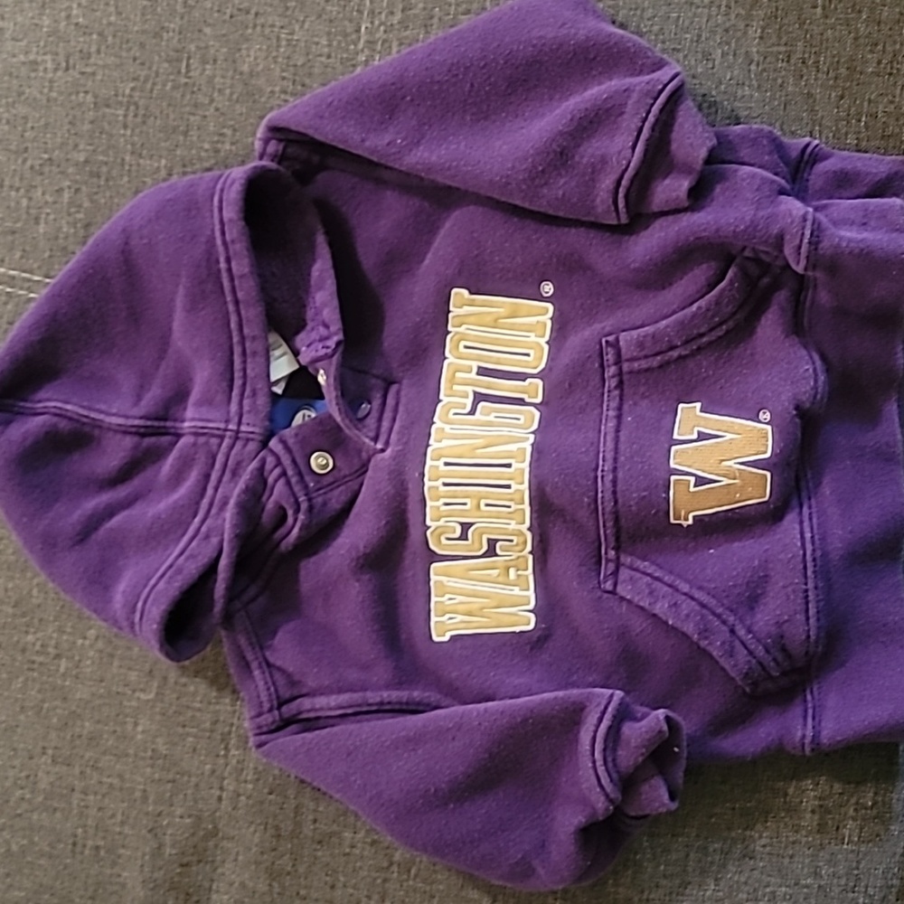 UW Hoodie